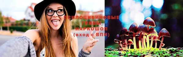 героин Лагань