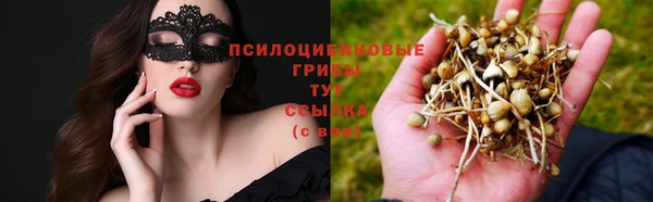ешки Алексин