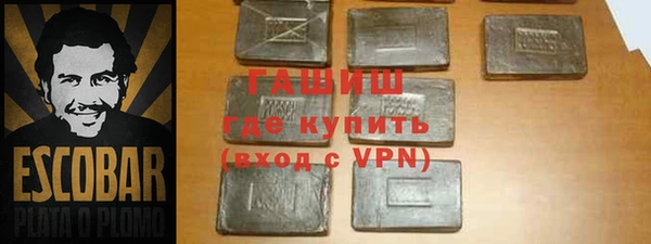 прущие грибы Алзамай