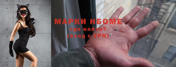прущие грибы Алзамай