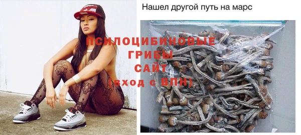 ешки Алексин