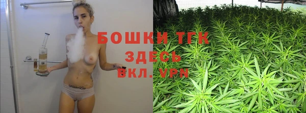 ешки Алексин
