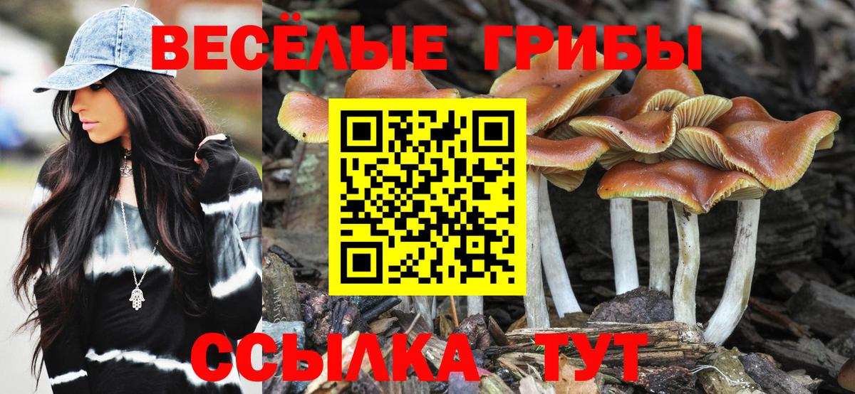 Псилоцибиновые грибы Magic Shrooms  Псилоцибиновые грибы ЛСД  Вход с VPN  Тайшет 