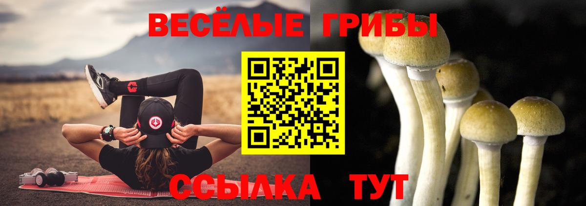 Псилоцибиновые грибы Psilocybine cubensis Тайшет
